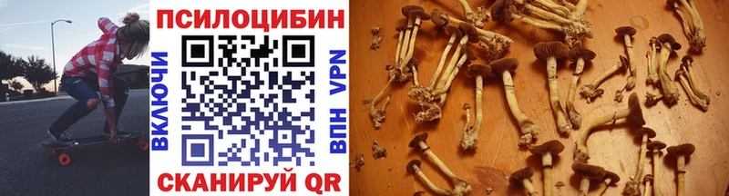 Галлюциногенные грибы мицелий  Короча 