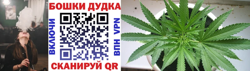 купить наркотики сайты  Короча  Конопля Ganja 